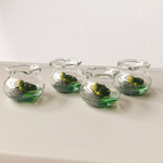 ミニチュア ペット 亀 金魚鉢 アクアリウム