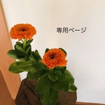 専用ページ【shidareコサージュ】ブラックフェザー◆穴を開けないマグネット式◆