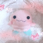 ꒰ঌモモあざらしちゃん🍑໒꒱