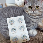  【耐水／24枚セット】★わんちゃんねこちゃんシール（円形 直径4cm）