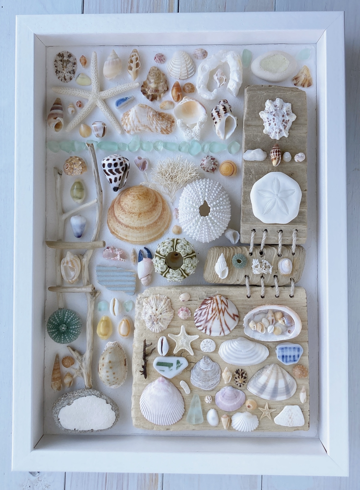 ウニ　貝殻　ミニ　標本　鉱石　ビーチコーミング　シーアーチン ☀️ 先日見つけた貝殻🐚 小さなウニ殻や微小貝 砂浜に座り込ん
