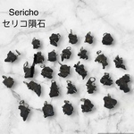 特価★セリコ隕石の原石ペンダント