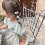 ニュアンスヘアクリップ　2本セット　/ ギフト　ヘアアレンジ　　お呼ばれ　誕生日　淡色　フラワー　レジン　ボタニカル　花　ヘアクリップ　セット　ブラウン　ブルーグレー　ブルー