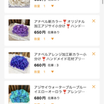 ✨ご専用出店速達郵便対応✨