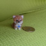 柴犬 赤 パピー羊毛フェルト