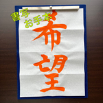 【毛筆お手本『希望』 】小学書写・趣味の書道に🎵