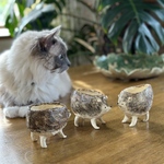 可愛い小さなハリネズミ🦔の手作り陶器の植木鉢