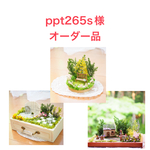 ppt265s様オーダー品