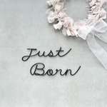 ニューボーンフォト　ワイヤークラフト　Just Born   ワイヤーアート　マンスリーフォト　数字セット　マンスリーカード　シンプル　おうちスタジオ