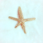 ひとで。バレッタ❤︎