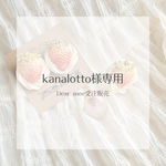 kanalotto様専用