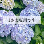 Jさま専用ページです。