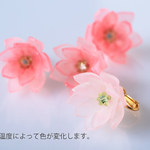 色変わり蓮のピアス＆イヤリング（片耳分）30