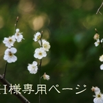 H様専用ページ