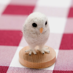 フクロウのひなちゃん