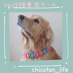 ⭐︎kao9様専用カート⭐︎他の方のご購入はお控えください