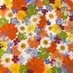 ♡new♡作家様必見♡押し花MIXセット♡押し花セット