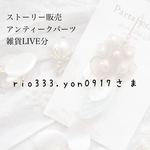 専用ページY
