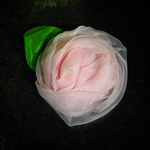 薔薇クリップ