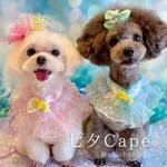 織姫と彦星っぽい【七夕Cape】祭り、バースデー、犬、猫、100日祝い、ハーフバースデー