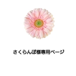 さくらんぼ様専用ページ
