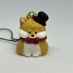 紳士な柴犬