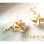 南国のPlumeria＊イヤリング