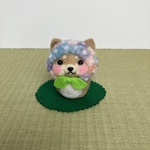 柴犬だるま（赤柴）紫陽花に変身〜💠