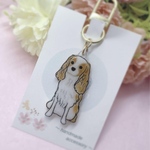 【期間限定☆特別価格】キャバリア♡キーホルダー