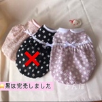 犬服　タンクトップ　バルーンタンクトップ　ドット柄リップルタンク