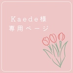 《Kaede様専用ページ》