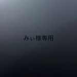 みぃ様専用