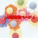 🍎M様専用ページ🍎