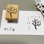 再①【サンゴ2️⃣】海の生き物シリーズ