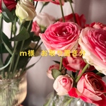 アナベルシリーズ❁⃘*.ﾟ花びらペンダントトップe