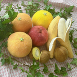 フェルトフルーツセット①🍎🍌🥝🍊