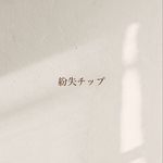 紛失チップ