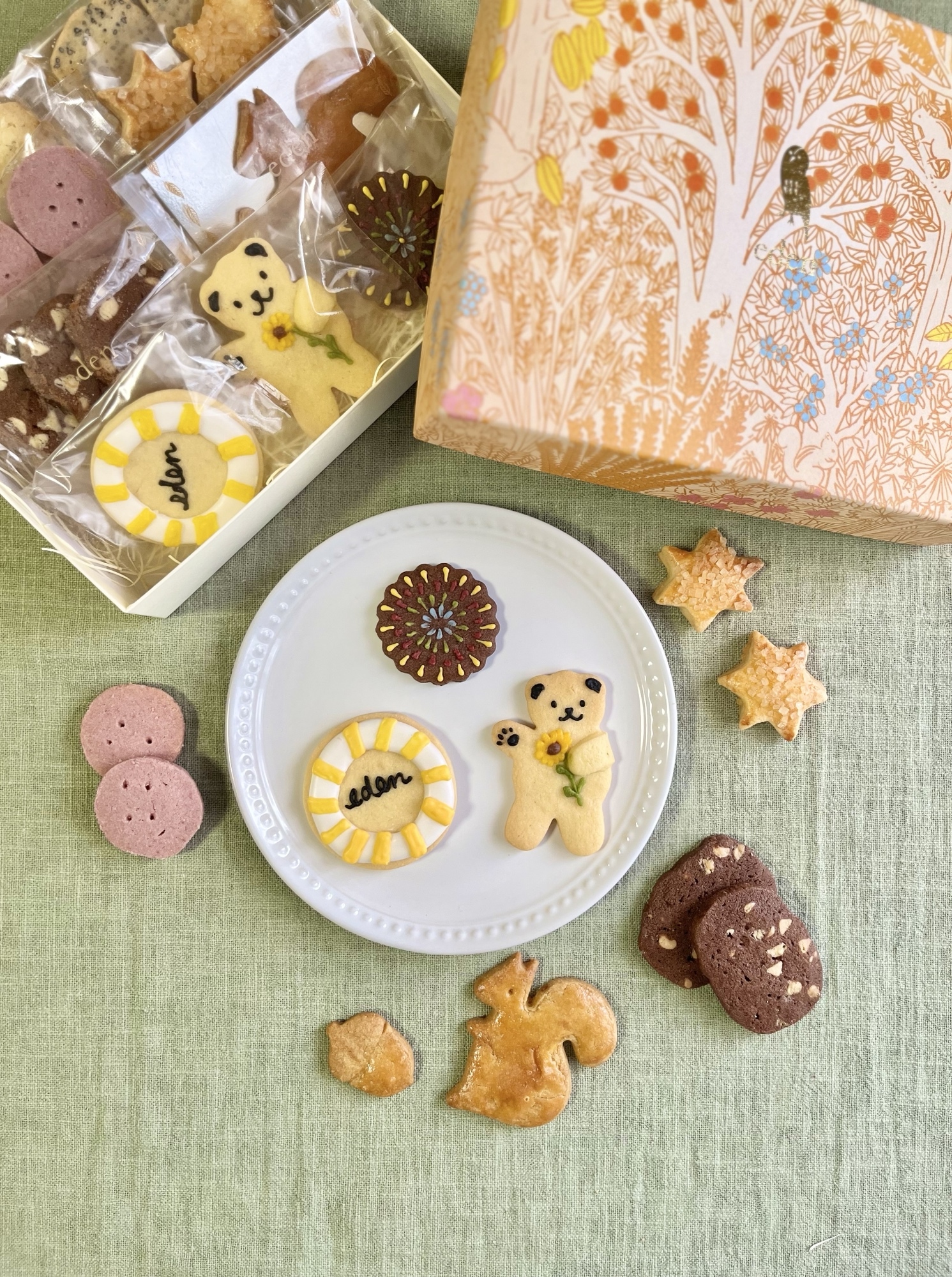 食いしんぼうリス☆抹茶どんぐり Amazon.co.jp: エデュケーショナル インサイツ(Educational