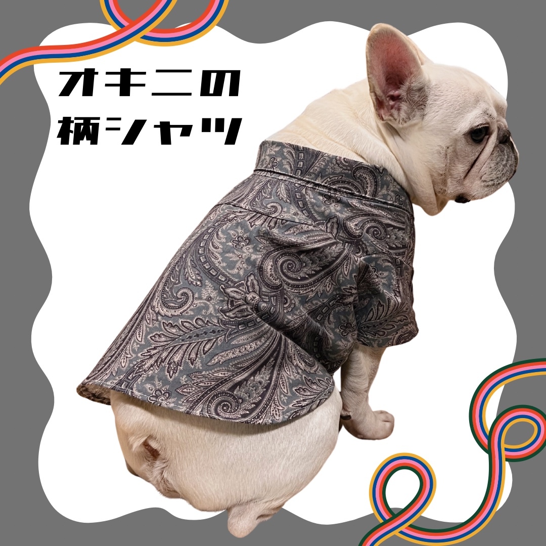 ときまま○犬服○ハンドメイド 胴52 NO.467 フレブル パグ ときまま