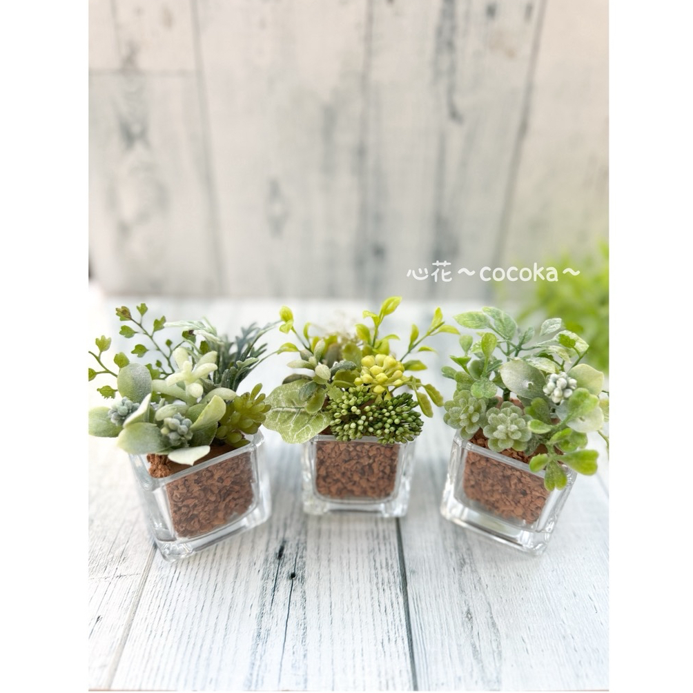◻️人気◻️特集掲載・麻紐コーヒーカップ❁﻿多肉植物 アレンジ(受注