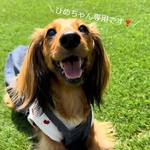 H様専用です♡♡