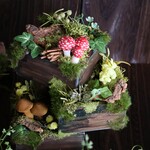 50%offSALE★キノコのいる箱