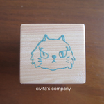 魅力的な瞳の猫