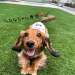 n様専用♡♡