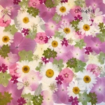 ♡new♡作家様必見♡押し花MIXセット♡押し花セット