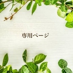 専用ページ