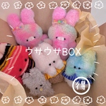 連れてってー♪ウサウサBOX
