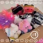 連れてってー♪ネコネコBOX🐈①