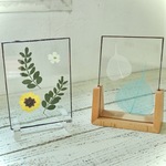 葉脈🌿と押し花🌷のガラスパネル