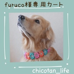 ⭐︎ furuco様専用カート⭐︎他の方のご購入はお控えください